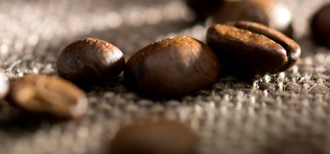 H&aacute; mais de 50 esp&eacute;cies de caf&eacute;